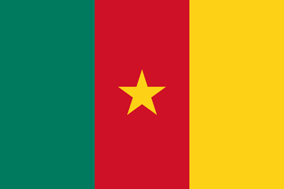 Flagge von Kamerun - Original