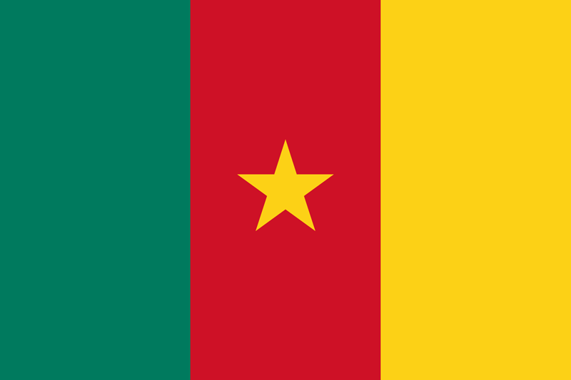 Set complet drapeau Cameroun