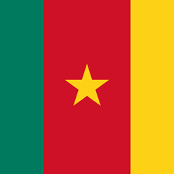 Flagge von Kamerun - Quadrat