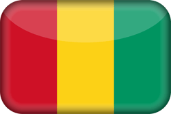 Flagge von Guinea - 3D