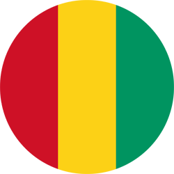 Flag of Guinea - Round