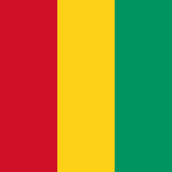 Vlag van Guinee - Vierkant