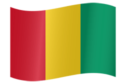 Vlag van Guinee - Golvend