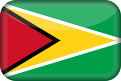 Flagge von Guyana - 3D