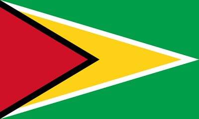 Flagge von Guyana - Original