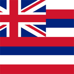 Hawaii-Flaggen-Vektor