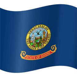 Vlag van Idaho - Golvend