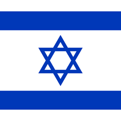 Israel flag vector