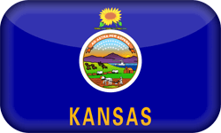Flag of Kansas - 3D