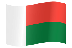 Vlag van Madagaskar - Golvend