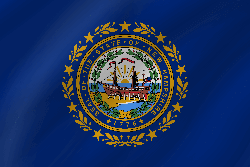 Flagge von New Hampshire - Welle