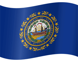 Vlag van New Hampshire - Golvend