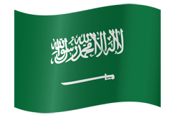 Saudi Arabia flag vector - Country flags