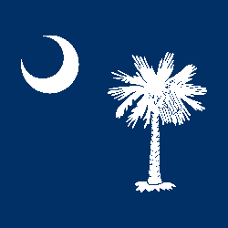 South Carolina flag vector