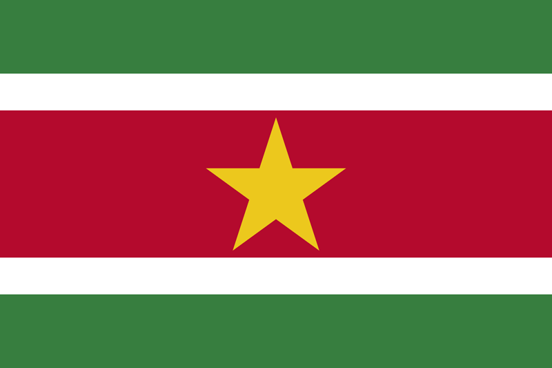 Suriname Flagge Paket