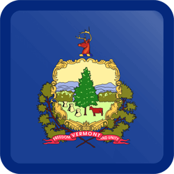 Vlag van Vermont - Knop Vierkant